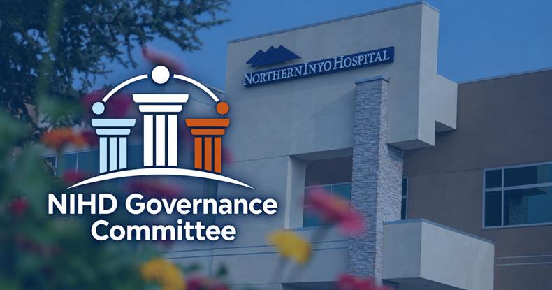 NIHD Governance Committee Meetings